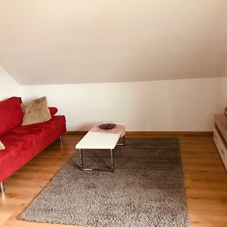 Grosses 1-Zimmer Wohlfuhl-Appartement Rednitzhembach Extérieur photo